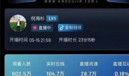 东方爆料倪海杉视频播放,倪海杉视频播放引发热议，揭秘背后真相